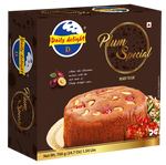 Daily Delight Special Plum Cake  350gm - Indiansupermarkt