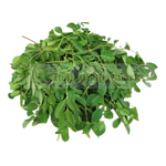 Moringa leaves or Saijna leaves - indiansupermarkt