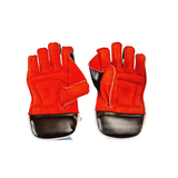 BDM Cricket Wicket Keeping Gloves