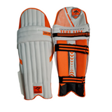 Cricket Pads Set of 2 - Indiansupermarkt